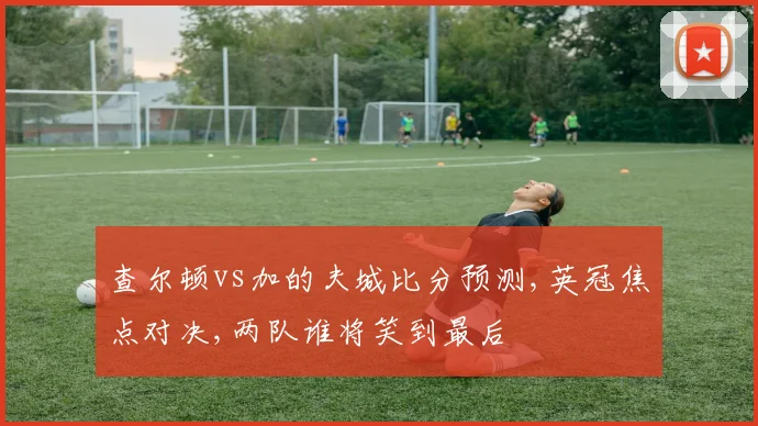 查尔顿vs加的夫城比分预测,英冠焦点对决,两队谁将笑到最后